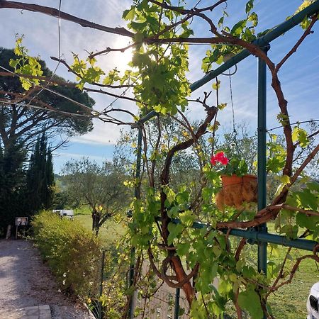 Vento E Mare Bed & Breakfast Риоторто Екстериор снимка