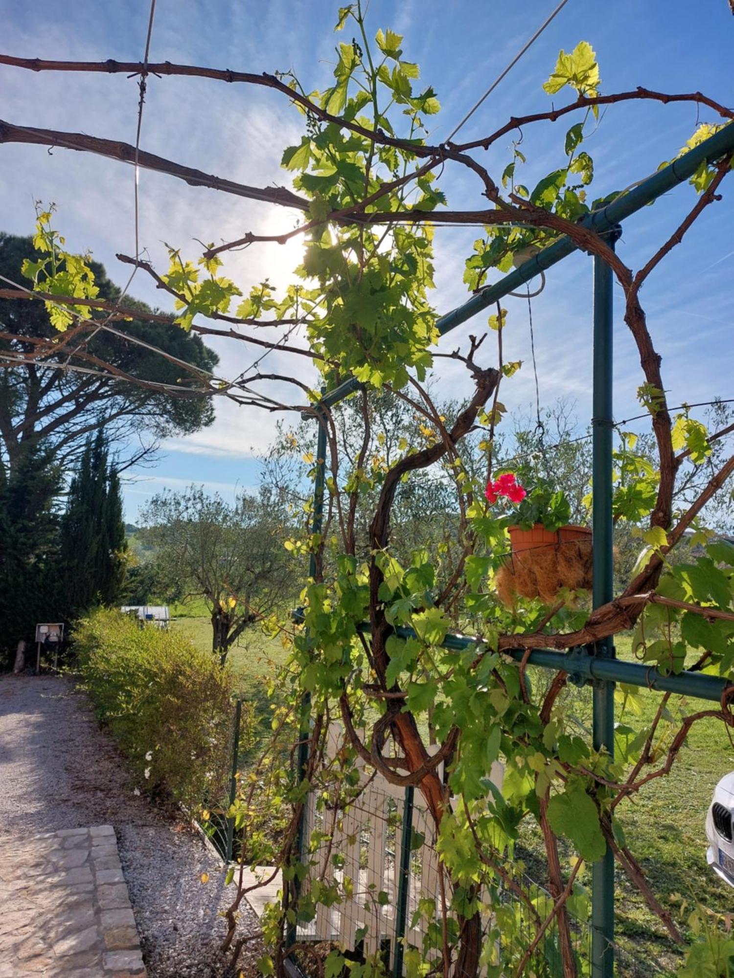 Vento E Mare Bed & Breakfast Риоторто Екстериор снимка